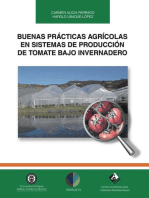 Buenas prácticas agrícolas en sistemas de producción de tomate bajo invernadero