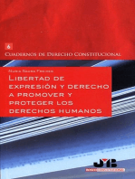 Libertad de expresión y derecho a promover y proteger los Derechos Humanos