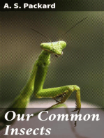 Our Common Insects: A Popular Account of the Insects of Our Fields, Forests, Gardens and Houses