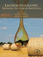 Lignocellulosic Biomass to Liquid Biofuels