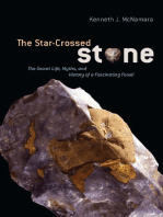 The Star-Crossed Stone