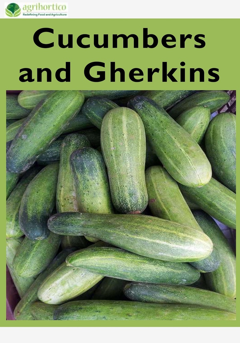 Read Cucumbers and Gherkins Online by Agrihortico Books