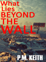 What Lies Beyond The Wall: Part I