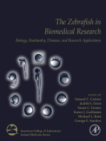 The Zebrafish in Biomedical Research: Biology, Husbandry, Diseases, and Research Applications