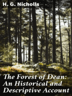 The Forest of Dean