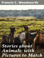 Stories about Animals: with Pictures to Match
