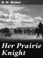 Her Prairie Knight