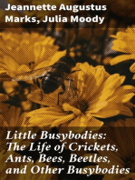 Little Busybodies: The Life of Crickets, Ants, Bees, Beetles, and Other Busybodies