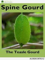 Spine Gourd
