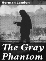The Gray Phantom