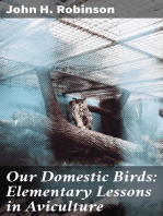 Our Domestic Birds: Elementary Lessons in Aviculture