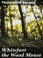 Whitefoot the Wood Mouse