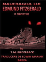 Naufragiul Lui Edmund Fitzgerald - O Povestire