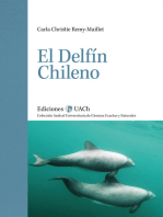 El delfín chileno: (segunda edición)