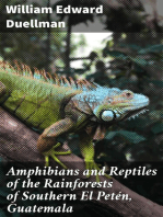 Amphibians and Reptiles of the Rainforests of Southern El Petén, Guatemala