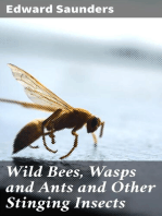 Wild Bees, Wasps and Ants and Other Stinging Insects