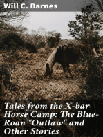 Tales from the X-bar Horse Camp