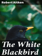 The White Blackbird