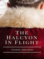 The Halcyon in Flight