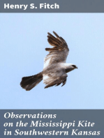 Observations on the Mississippi Kite in Southwestern Kansas