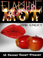 Flaming Hot Erotica, Vol. One