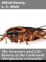 The Structure and Life-history of the Cockroach (Periplaneta orientalis): An Introduction to the Study of Insects