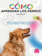 Cómo aprenden los perros: Adiestramiento para la respuesta en cachorros y perros adultos