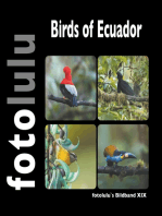 Birds of Ecuador: fotolulu`s Bildband XIX