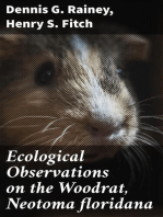 Ecological Observations on the Woodrat, Neotoma floridana