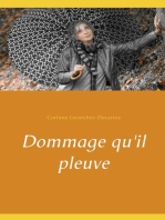 Dommage qu'il pleuve