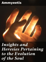 Insights and Heresies Pertaining to the Evolution of the Soul