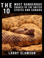 The 10 Most Dangerous Snakes in the United States and Canada