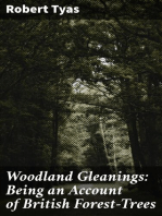 Woodland Gleanings