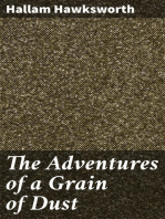 The Adventures of a Grain of Dust