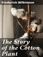 The Story of the Cotton Plant