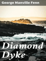 Diamond Dyke: The Lone Farm on the Veldt - Story of South African Adventure