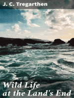 Wild Life at the Land's End: Observations of the Habits and Haunts of the Fox, Badger, Otter, Seal, Hare and of Their Pursuers in Cornwall