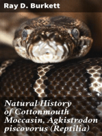 Natural History of Cottonmouth Moccasin, Agkistrodon piscovorus (Reptilia)