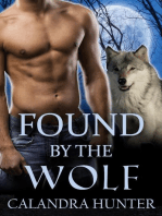 Found by the Wolf