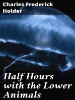 Half Hours with the Lower Animals: Protozoans, Sponges, Corals, Shells, Insects, and Crustaceans
