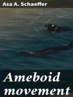 Ameboid movement