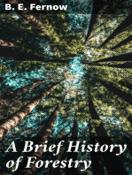 A Brief History of Forestry: In Europe, the United States and Other Countries
