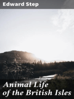 Animal Life of the British Isles