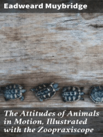 The Attitudes of Animals in Motion, Illustrated with the Zoopraxiscope