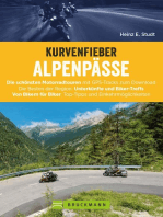 Kurvenfieber Alpenpässe: Motorradreiseführer für die Alpen: Zehn Motorradtouren von Bikern für Biker