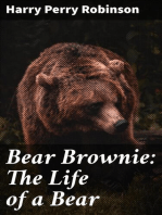 Bear Brownie: The Life of a Bear