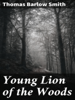 Young Lion of the Woods