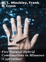 Five Natural Hybrid Combinations in Minnows (Cyprinidae)