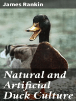 Natural and Artificial Duck Culture