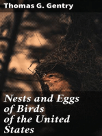 Nests and Eggs of Birds of the United States: Illustrated